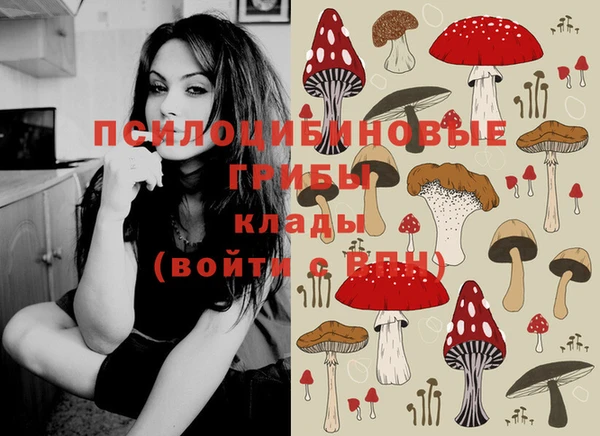 дурь Верхний Тагил