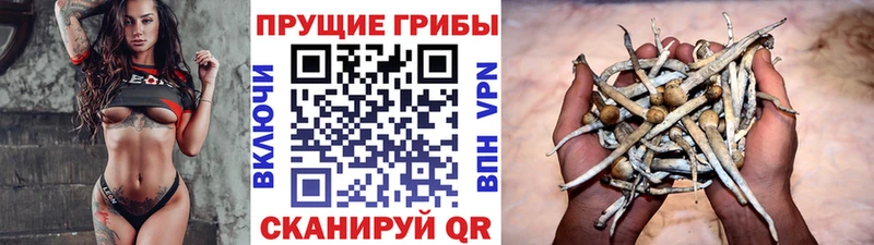 Галлюциногенные грибы ЛСД  Сясьстрой 